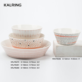 Porcelain plate ceramic bowl with design